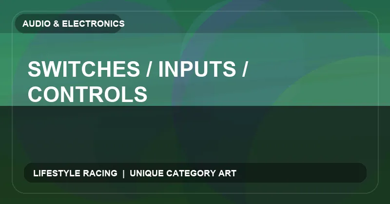 Switches / Inputs / Controls